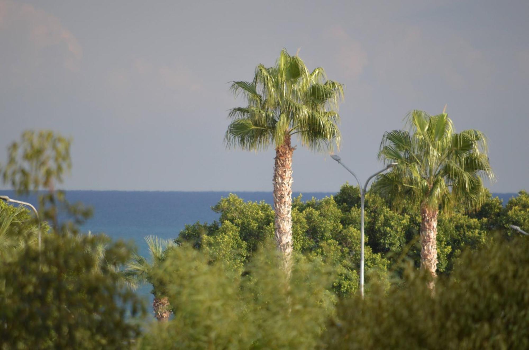 Modern Apartment Near Mckenzie Beach Larnaca Zewnętrze zdjęcie